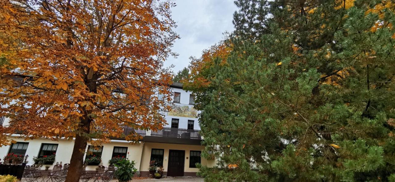 Waldgasthof & Hotel Am Sauwald Tannenberg ภายนอก รูปภาพ