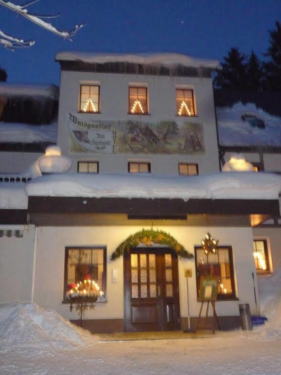Waldgasthof & Hotel Am Sauwald Tannenberg ภายนอก รูปภาพ